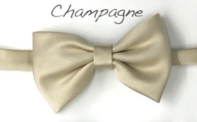 Champagne Satin bow 
